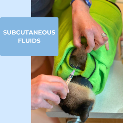 Pro Cat Wrap showing access for veterinarian-directed subcutaneous care