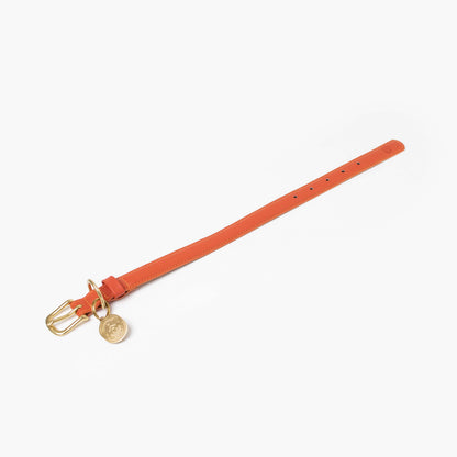 Full view of the Ramona For You Sunset Collar