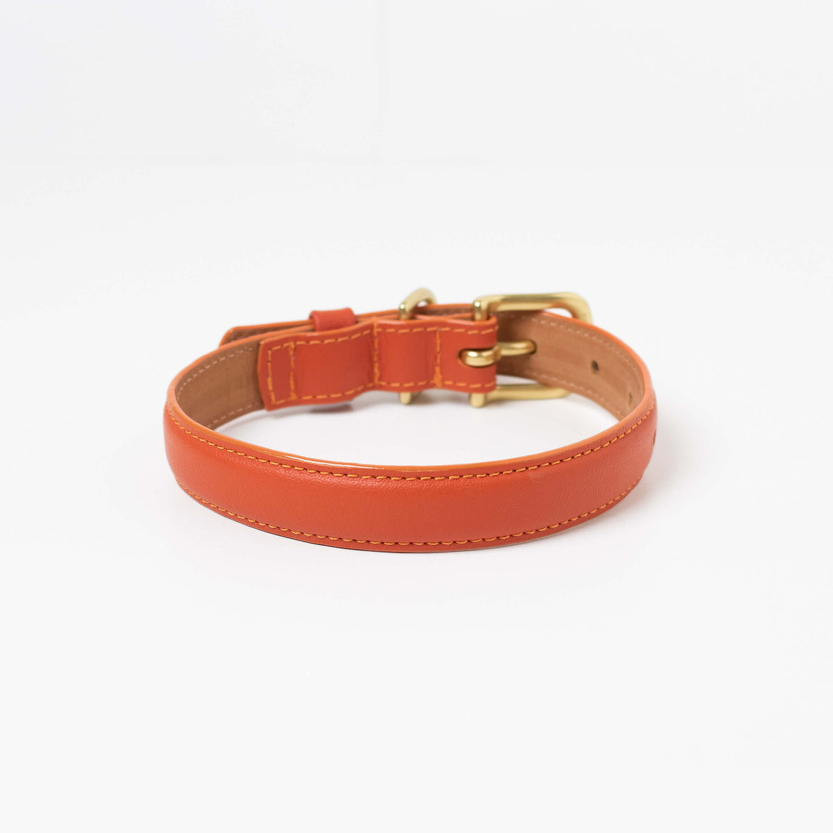 Back view of the Ramona For You Sunset leather dog collar
