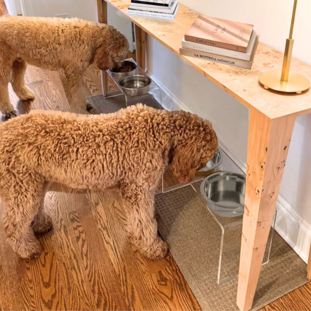 Tall Clear Double Feeder with Silver Bowls