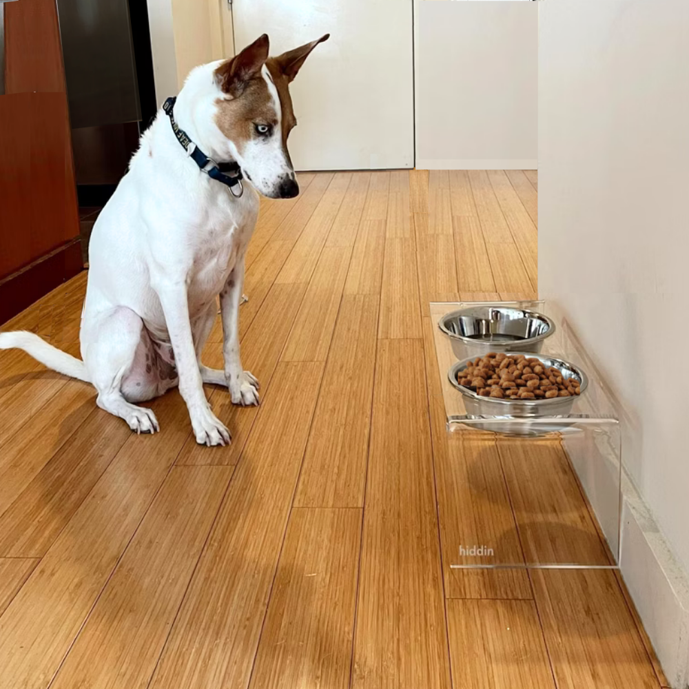 Tall Clear Double Feeder with Silver Bowls