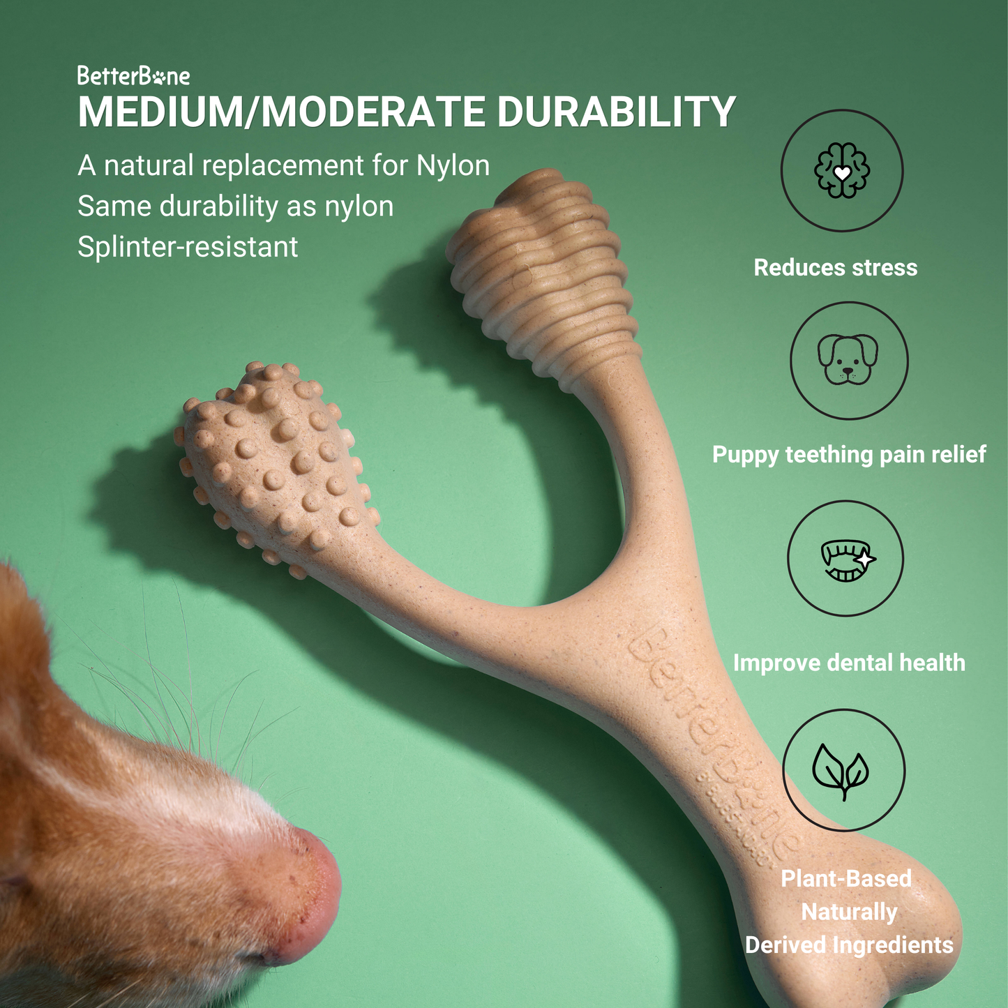 Dog toy with text highlighting its features on a green background