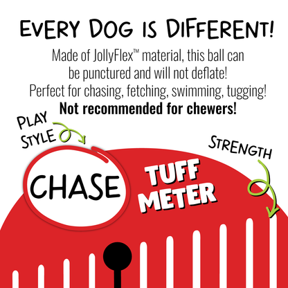 Product label for a dog toy with features and safety information on a white background