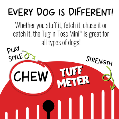 Tug-n-Toss Mini — durability guide