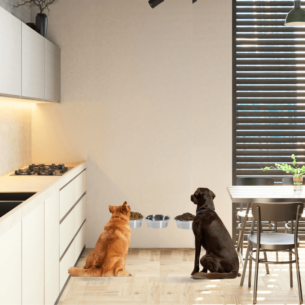 Two dogs beside the tall clear triple silver feeder in a modern kitchen