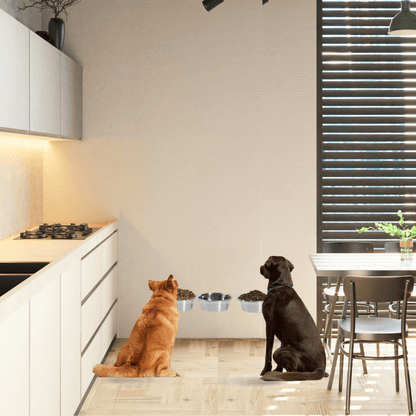 Two dogs beside the tall clear triple silver feeder in a modern kitchen