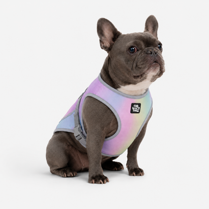 Chaleco refrescante WildBreeze de The Wild Paw con estampado Aurora