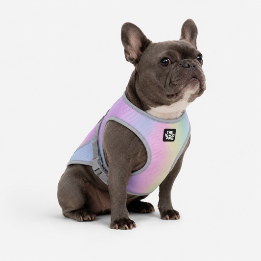 Chaleco refrescante WildBreeze de The Wild Paw con estampado Aurora