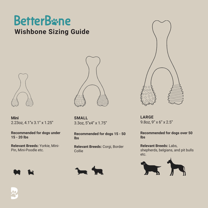BetterBone Wishbone Sizing Guide with different sizes and recommended dog breeds on a beige background