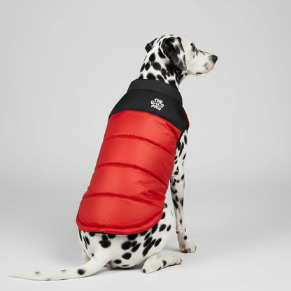 ThermaPuffer Vest in Fiery Red and Black, rear view