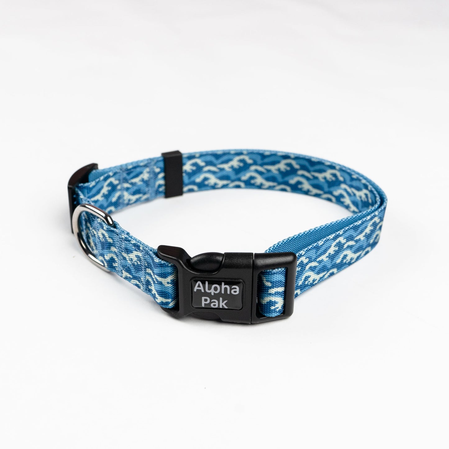 Collar de perro para aventuras diarias