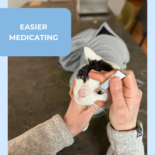 Pro Cat Wrap at-home and veterinary care feature graphic