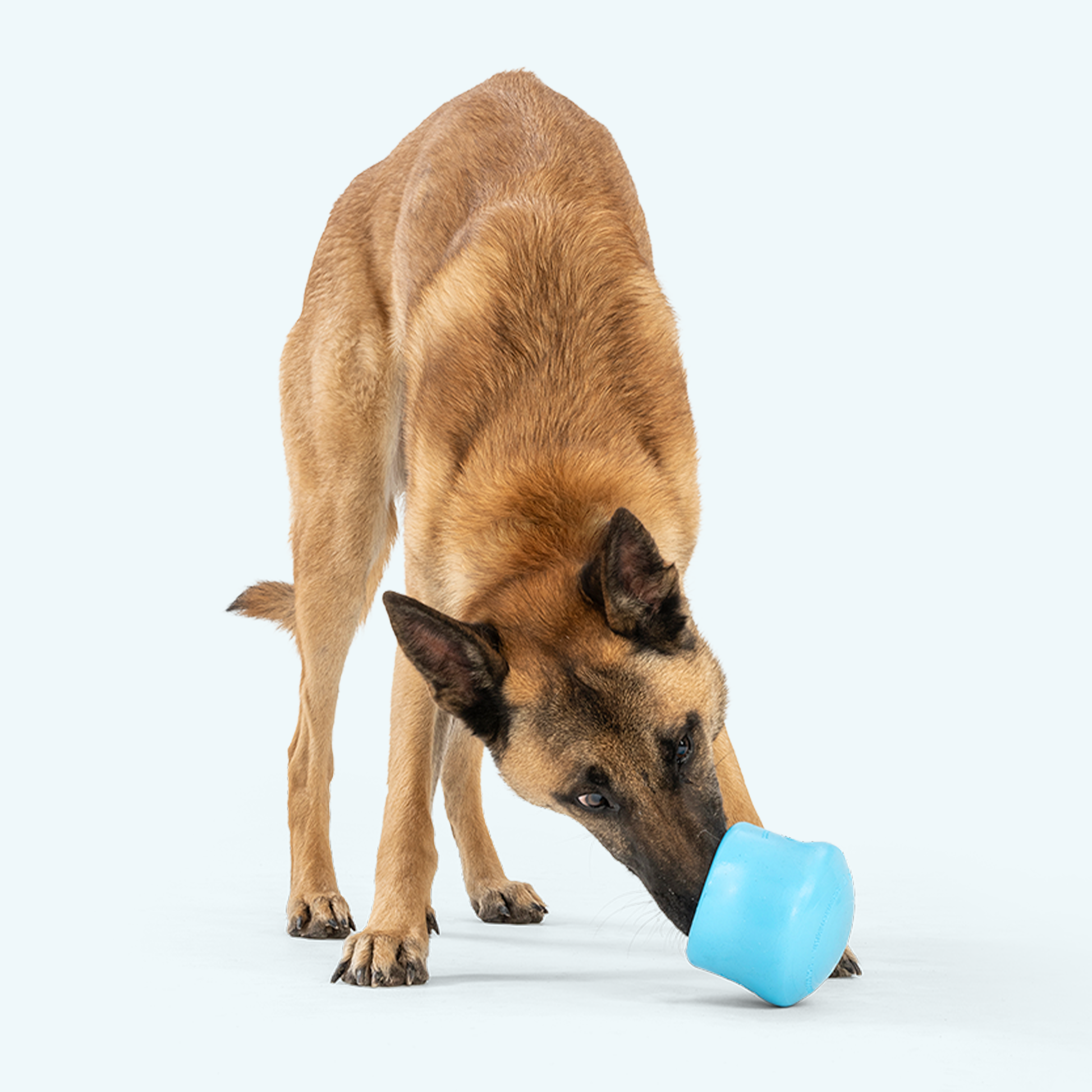 Additional view of the West Paw Toppl dog enrichment toy