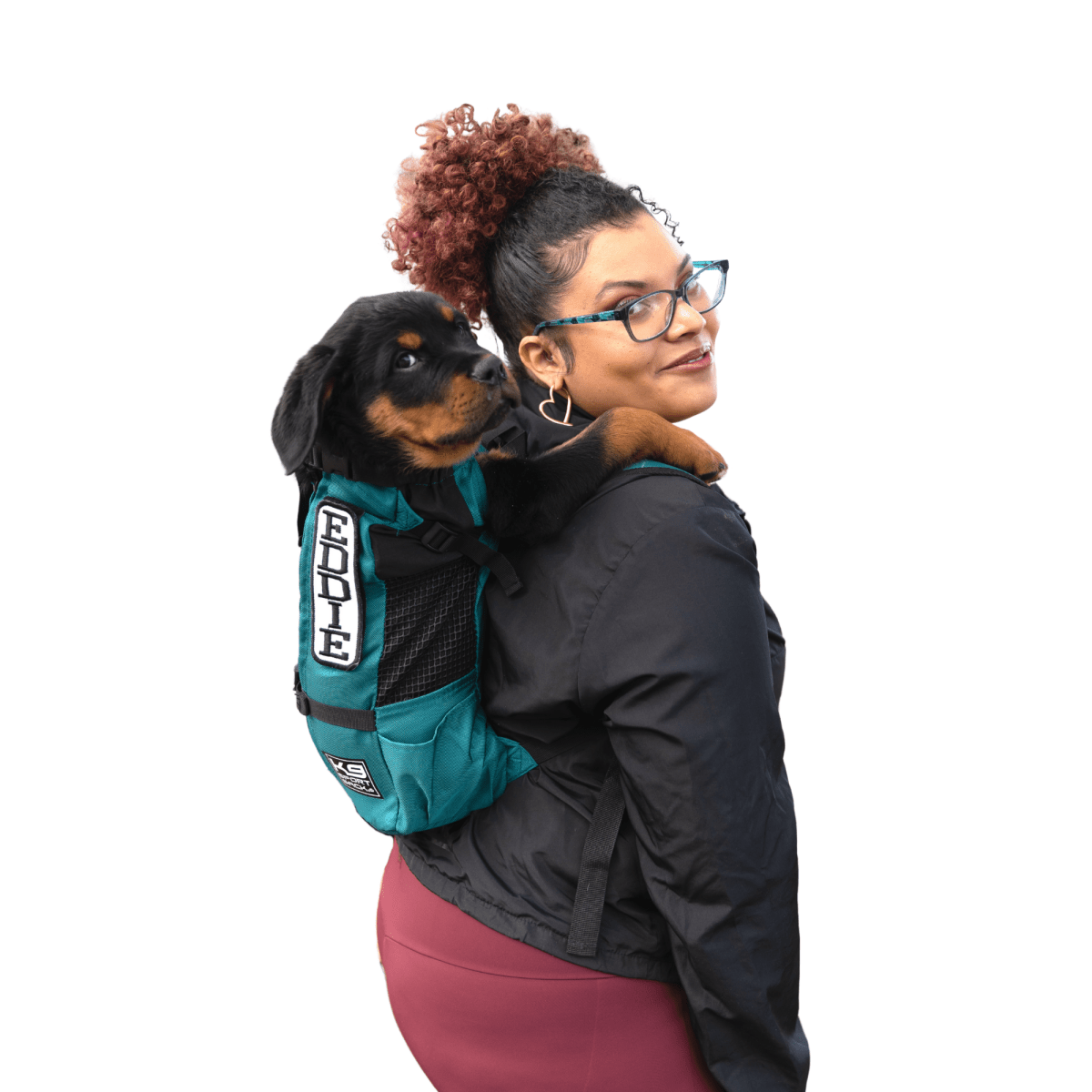 Harbor Blue K9 Sport Sack Trainer dog carrier backpack in use