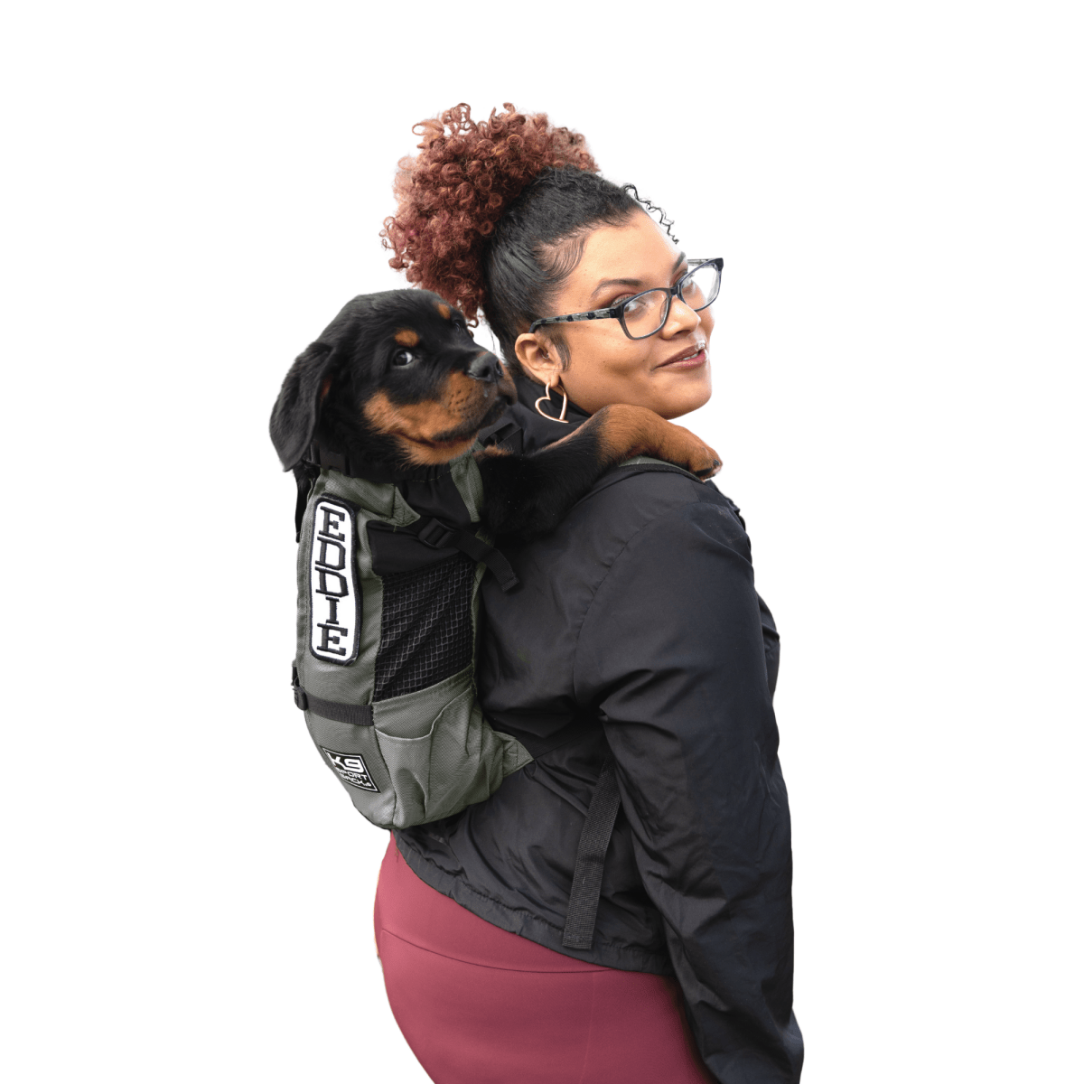 Iron Gate K9 Sport Sack Trainer dog carrier backpack in use