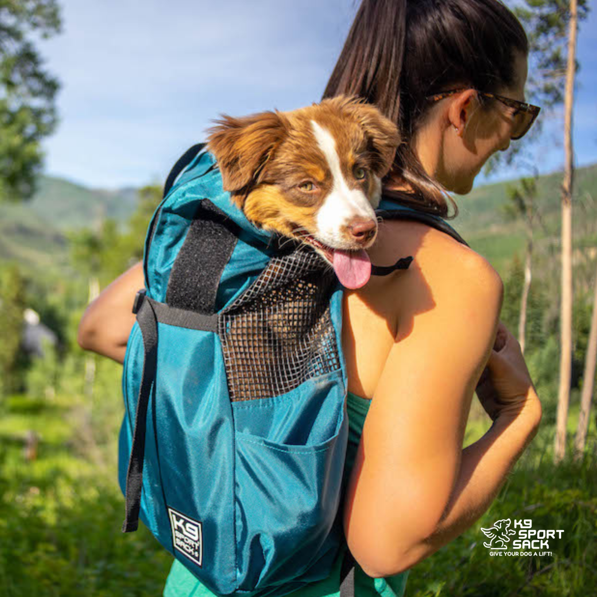 Harbor Blue K9 Sport Sack Trainer dog carrier backpack in use