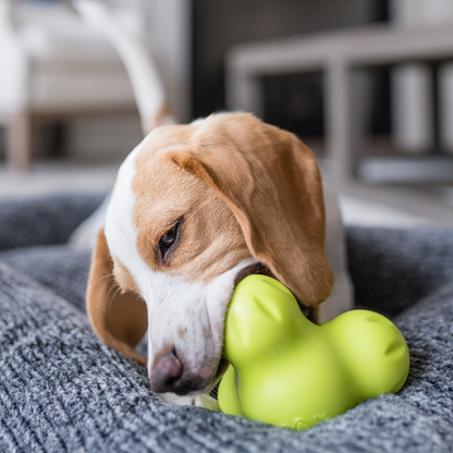 Additional view of the West Paw Tux dog enrichment toy