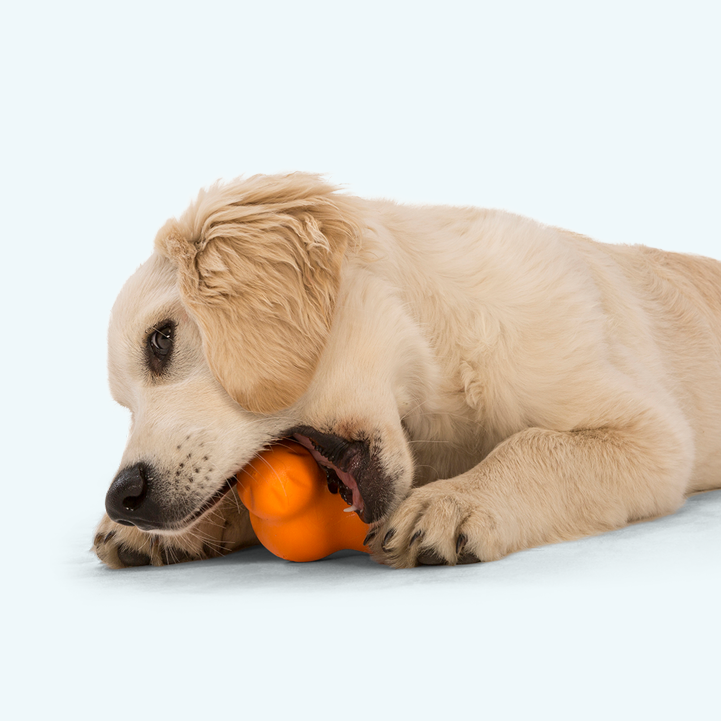 Additional view of the West Paw Tux dog enrichment toy