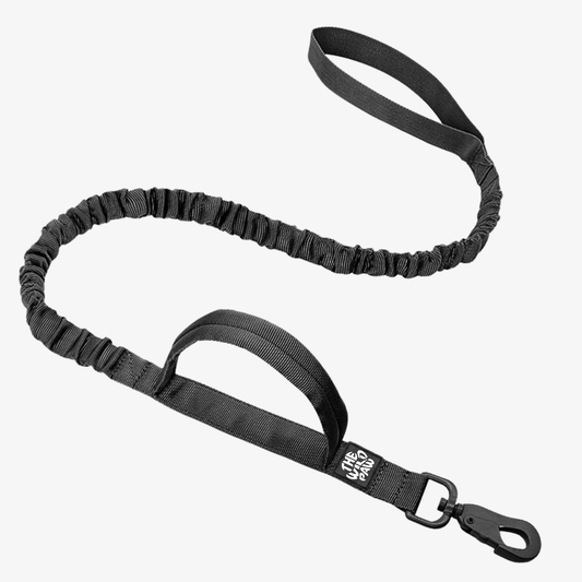 Rover Tactical Leash - Black