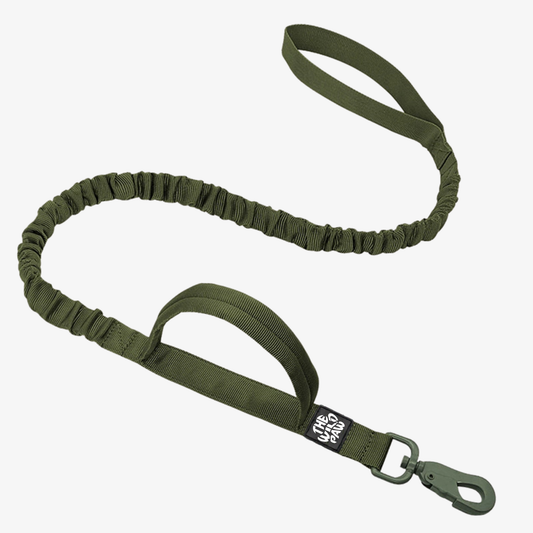 Correa táctica Rover de The Wild Paw en verde aloe