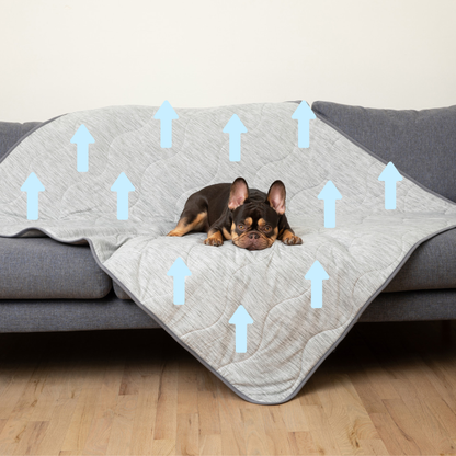 PupChill™ manta refrescante impermeable - Arctic Grey