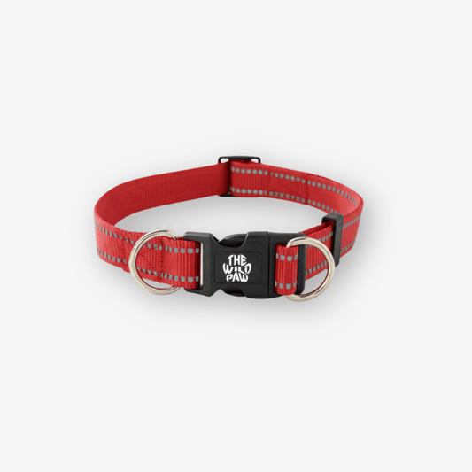 Red Surge reflective dog collar with black buckle