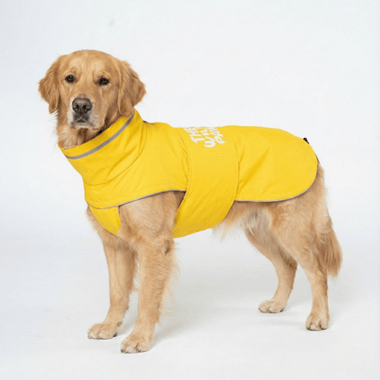 Golden retriever con el impermeable WildGuard amarillo