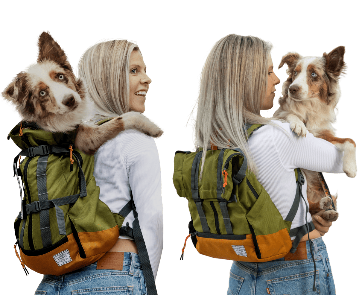 Leafy Green K9 Sport Sack Urban 3 dog carrier backpack in use