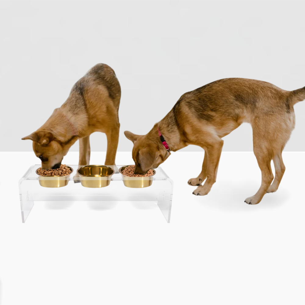 Vista del producto Tall Triple Gold Feeder, vista 4