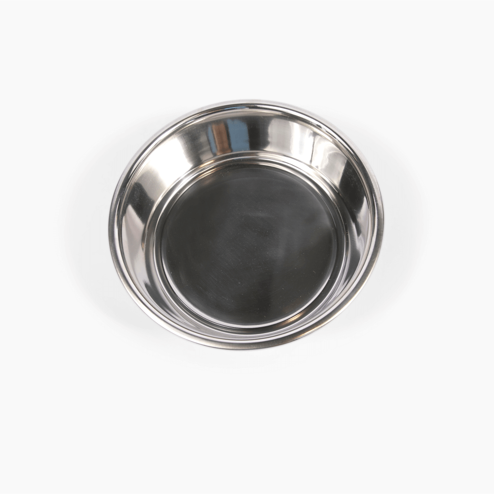 Silver pet bowl viewed from above