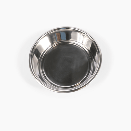 Silver pet bowl viewed from above