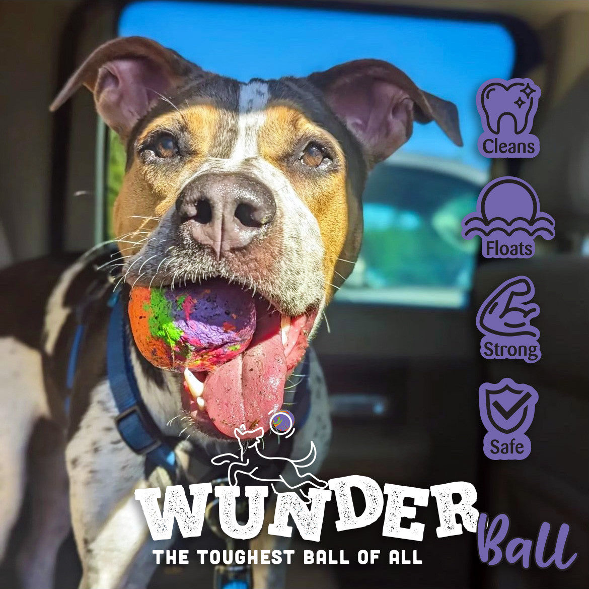 WUNDERball - Natural Rubber Fetch Toy
