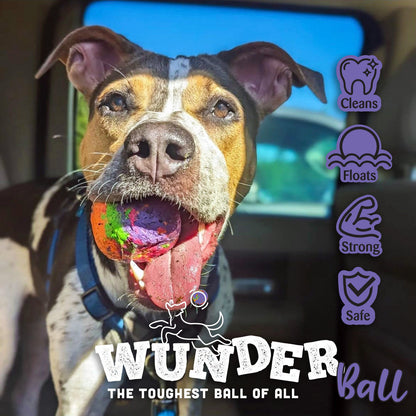 WUNDERball - Natural Rubber Fetch Toy