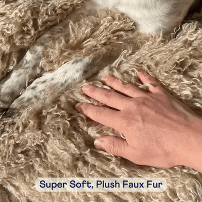 PupRug Luxe dog bed waterproof feature demonstration