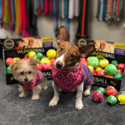 WUNDERball - Natural Rubber Fetch Toy