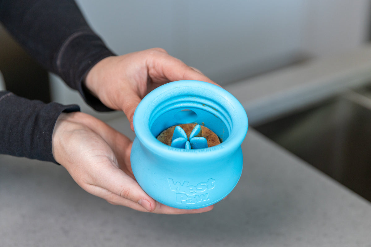 Person holding a blue Toppl toy filled with pieces of a Toppl Treat.