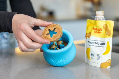 Person placing a flower-shaped Toppl Treat into a blue Toppl toy.