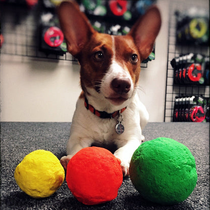 WUNDERball - Natural Rubber Fetch Toy