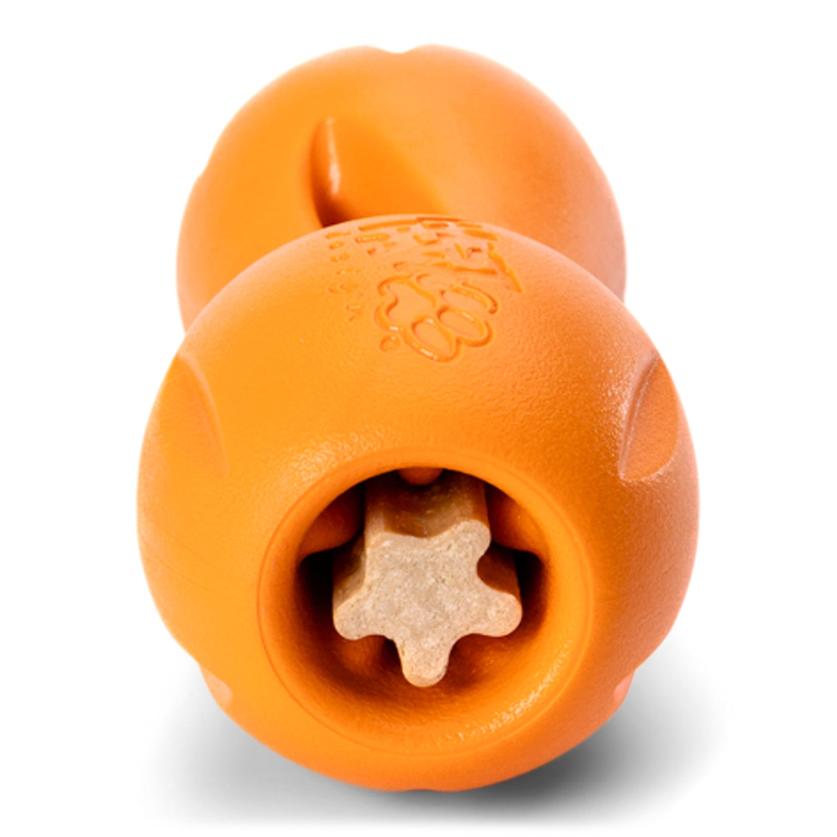 Front view of an orange Small Qwizl holding a star-shaped dental stick.