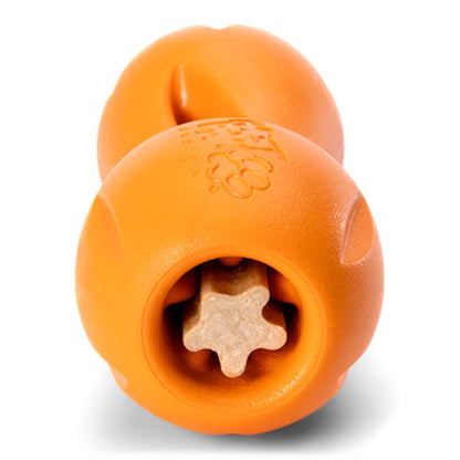 Front view of an orange Small Qwizl holding a star-shaped dental stick.