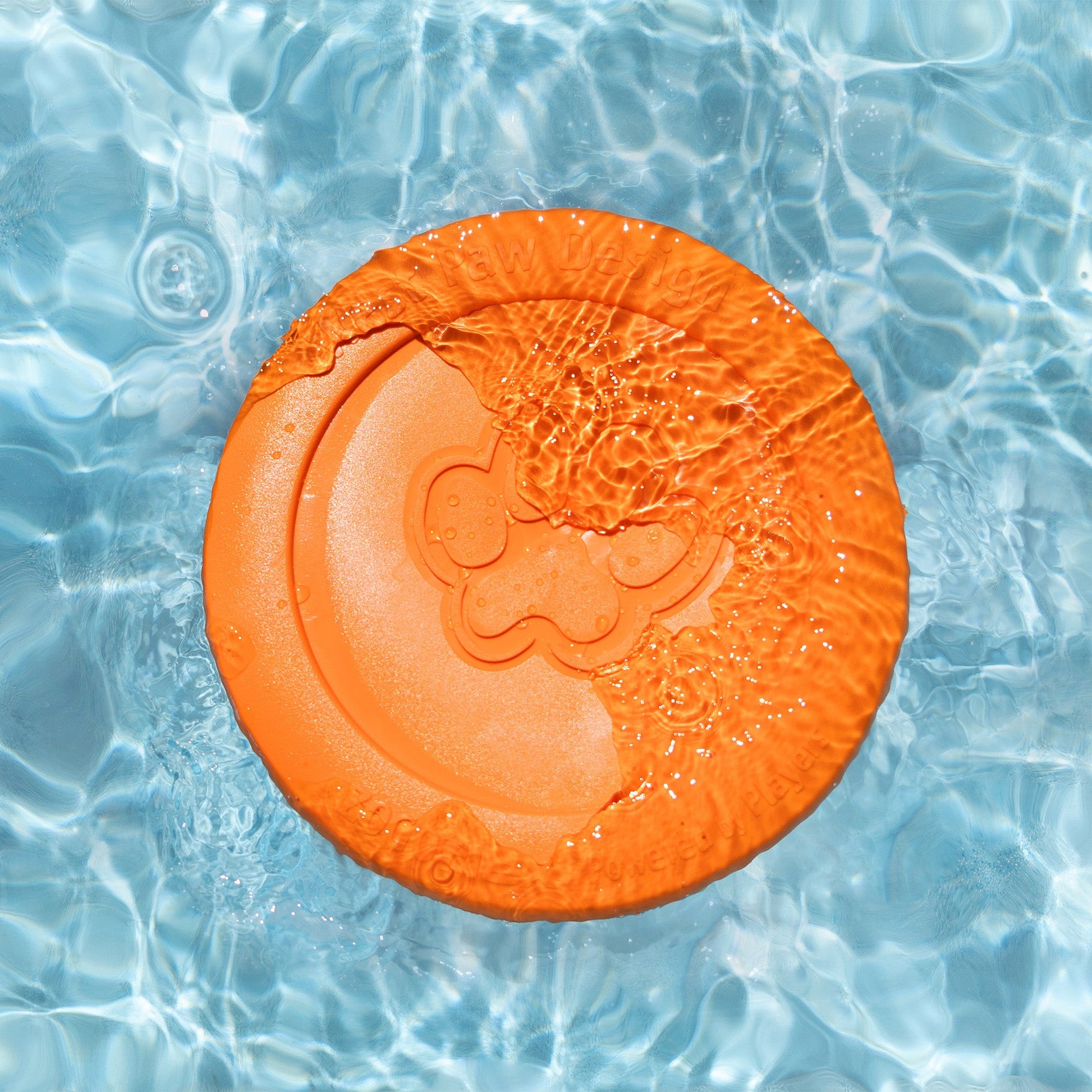Additional view of the West Paw Zisc flying disc