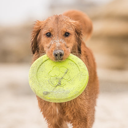 Additional view of the West Paw Zisc flying disc