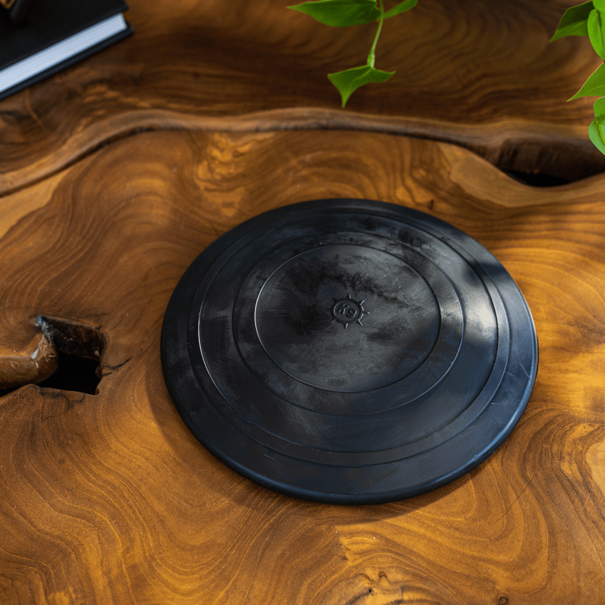 Black round object on a wooden surface with green leaves