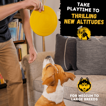 Monster K9 Launch Disc rubber dog toy lifestyle image
