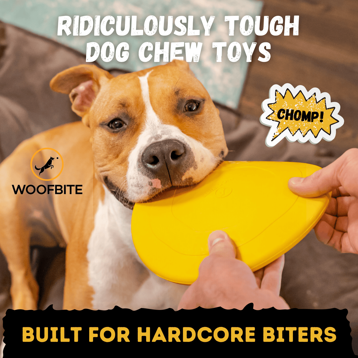 Monster K9 Launch Disc yellow flying disc product view
