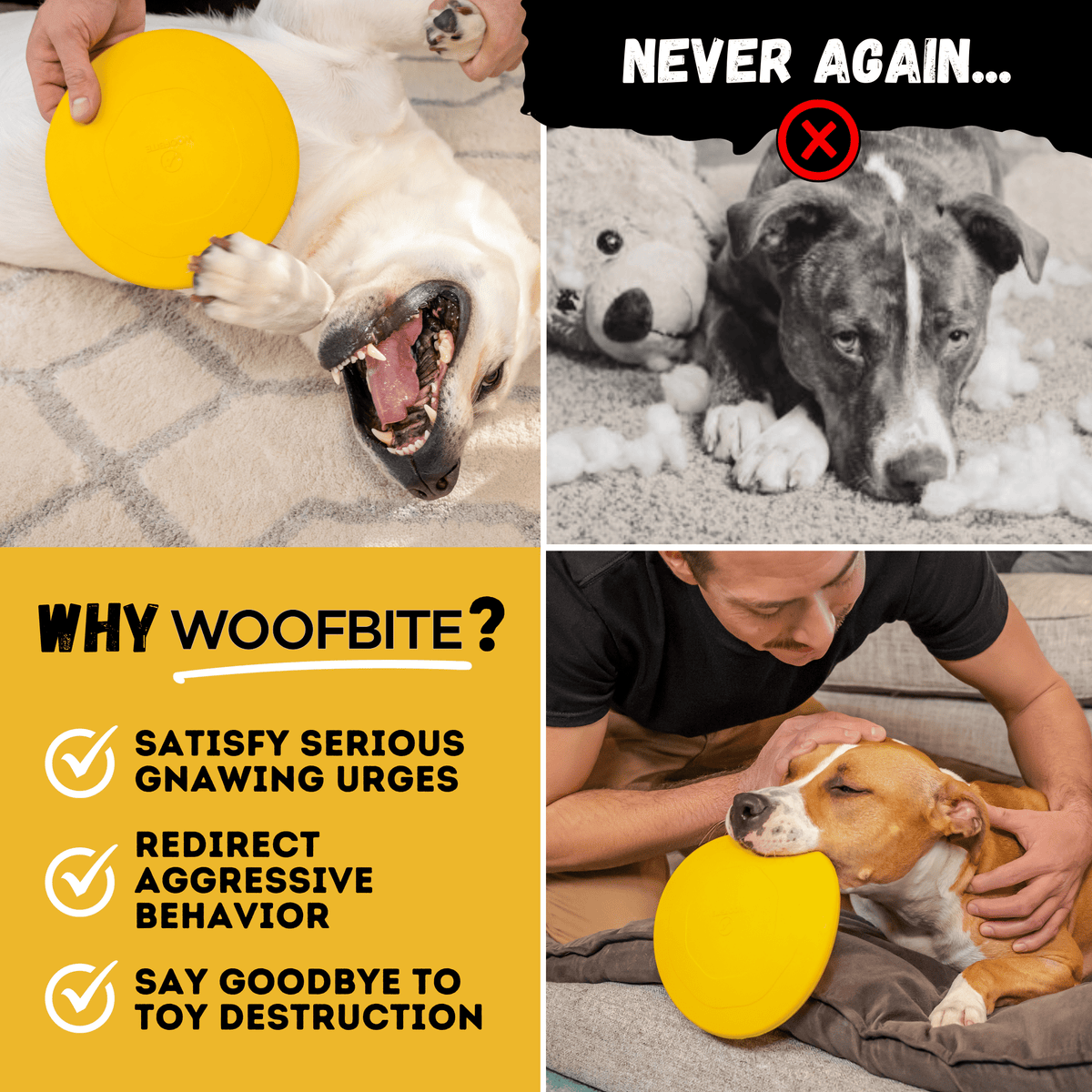 Monster K9 Launch Disc yellow dog toy feature graphic