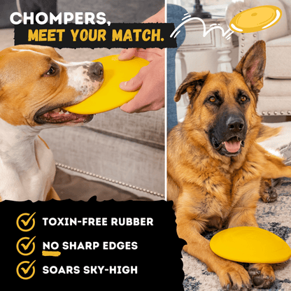 Monster K9 Launch Disc rubber dog toy feature image