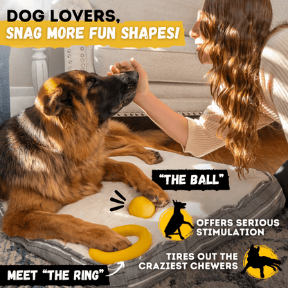 Monster K9 Launch Disc rubber dog toy information image