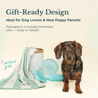 Lifestyle view of Bath Kit for Dogs – Grooming Set in use — view 5