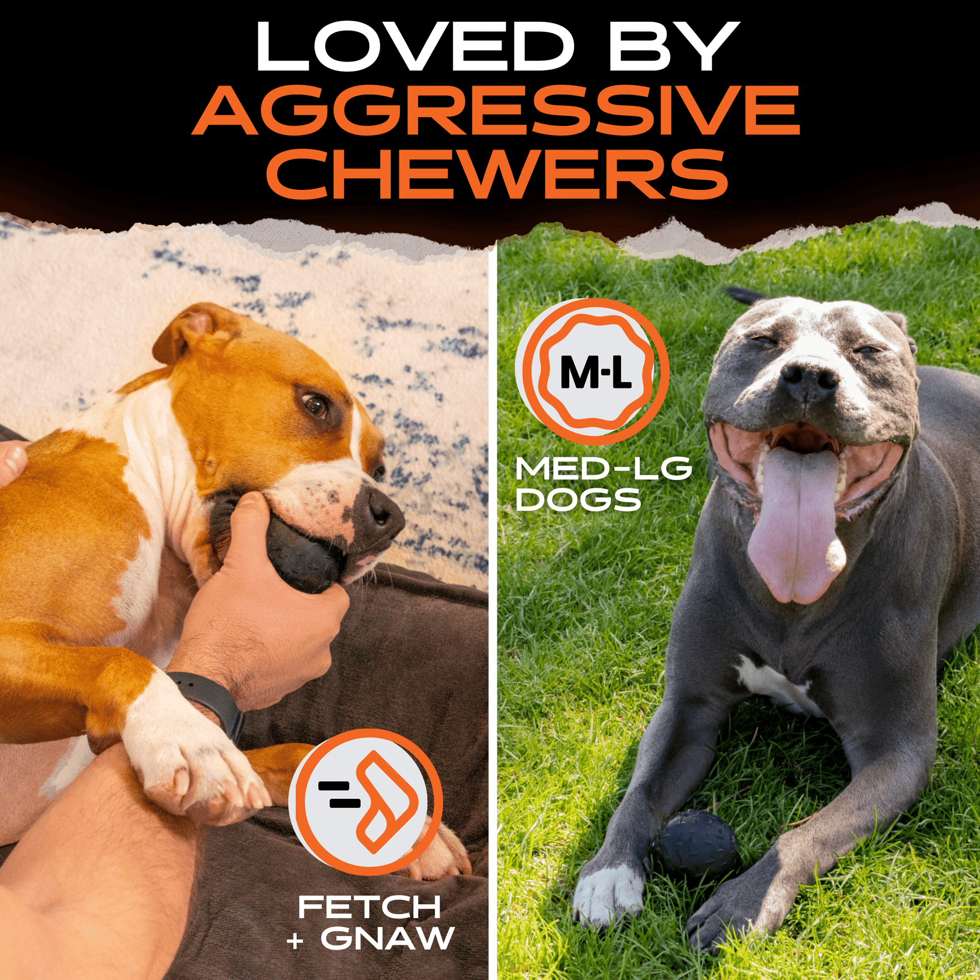 Two dogs with a product, text 'Loved by Aggressive Chewers', and branding for Fetch + Gnaw.